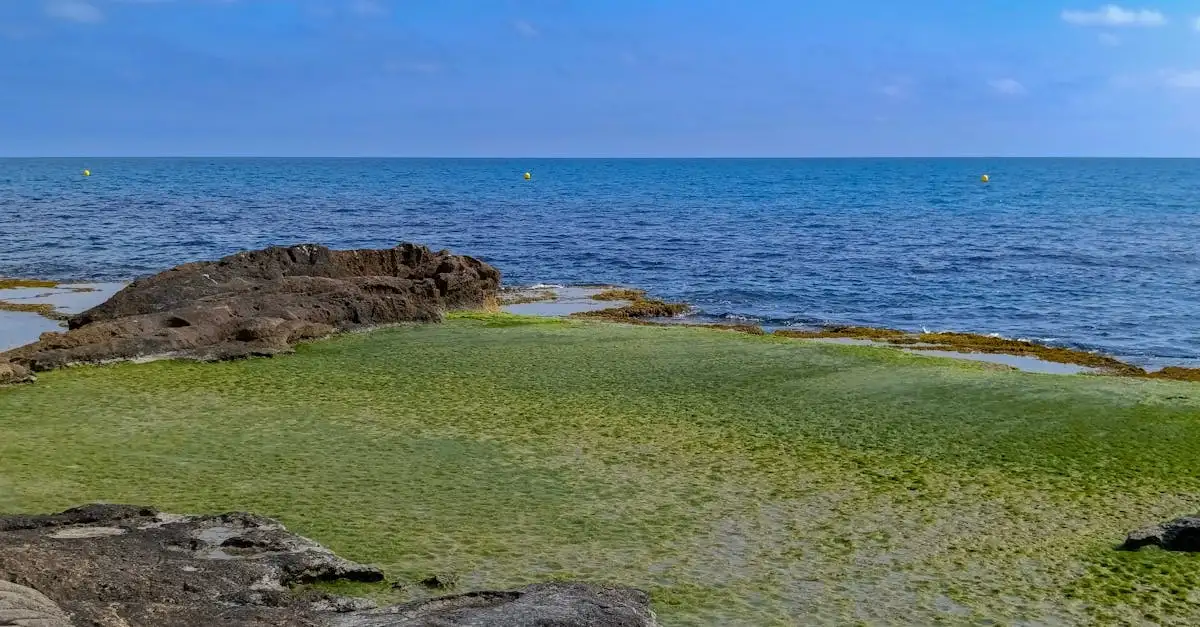Uitstapjes vanuit Altea Spanje