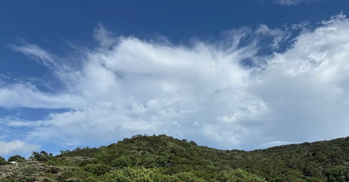 Weer en klimaat in Jávea