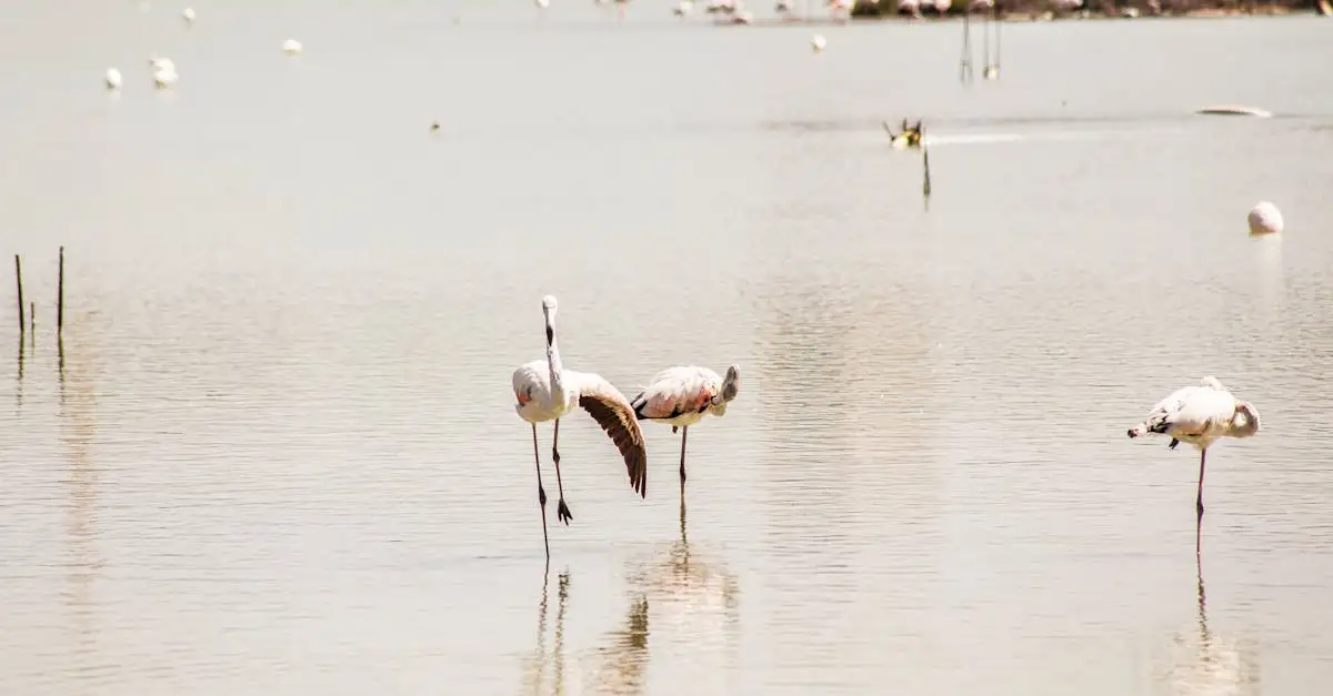 Uitstapjes vanuit Calpe Spanje
