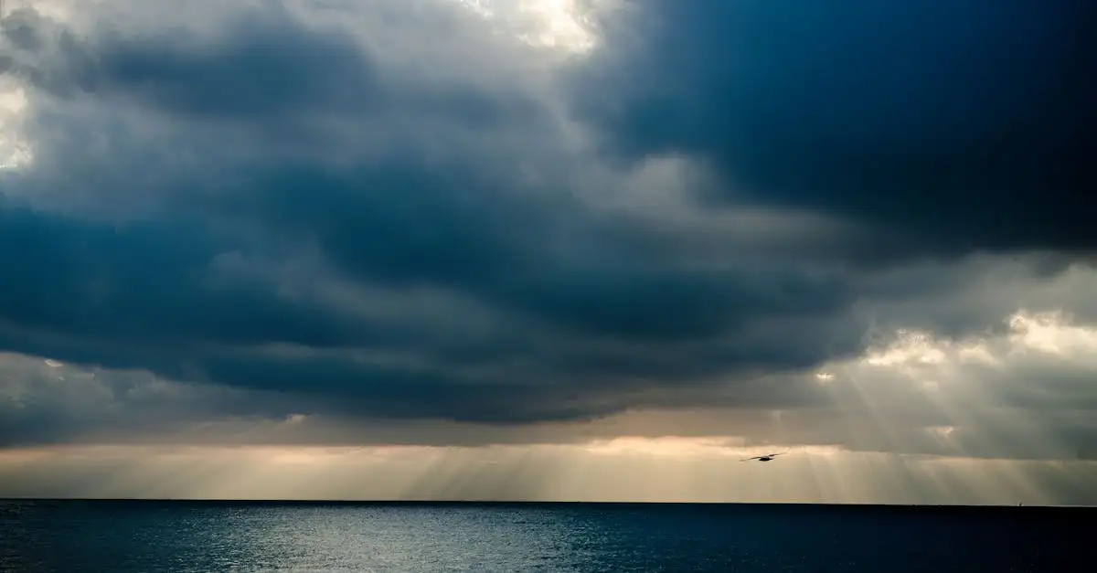 Weer en klimaat in Alicante